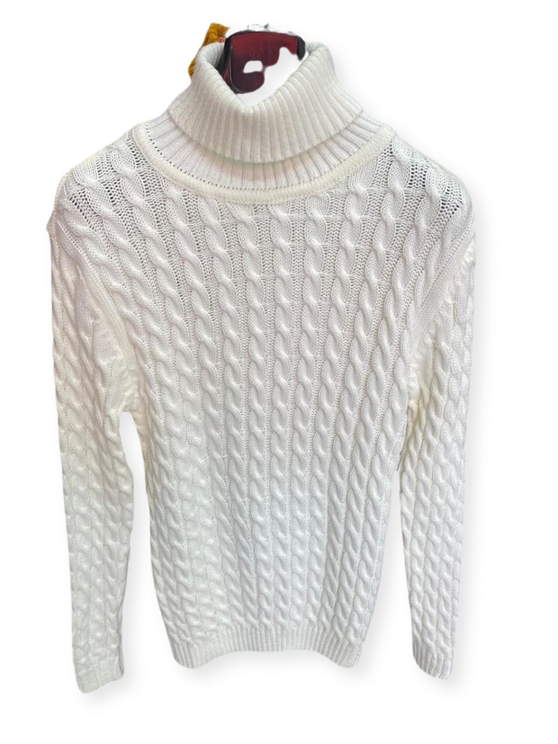 [David] White Men’s Wool Turtle Neck Sweater